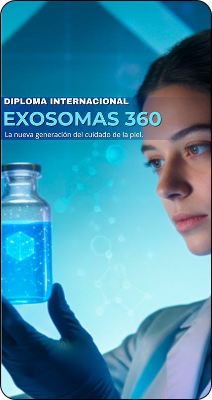 Rectángulo 7